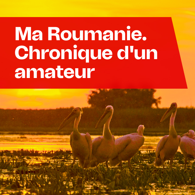 Ma Roumanie. Chronique d'un amtaeur